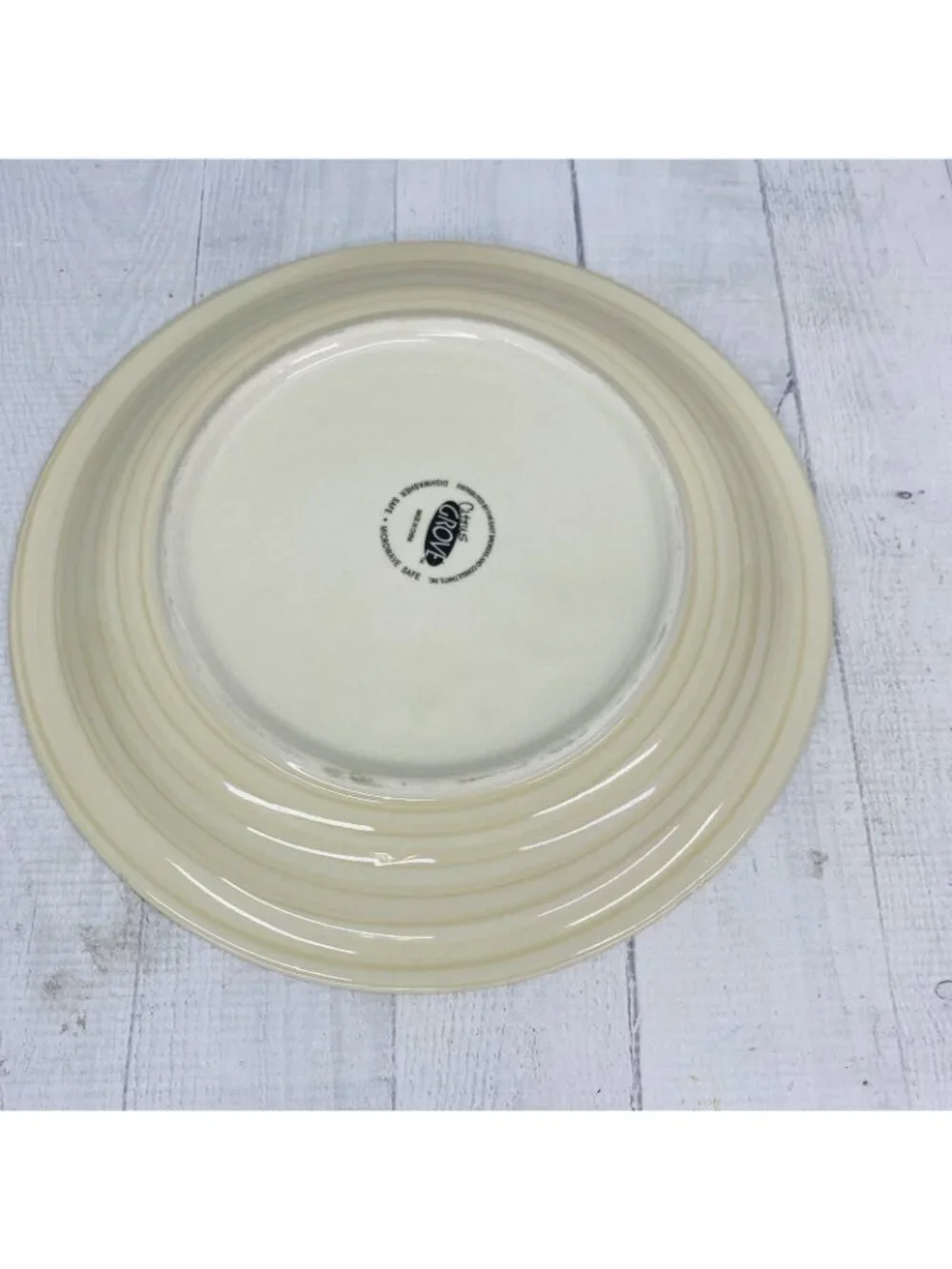 Citrus Grove BEIGE SANDSTONE SWIRL Hand Paint Stoneware Dinner Plates Set Of 4